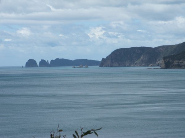 Tasman Arch lookout