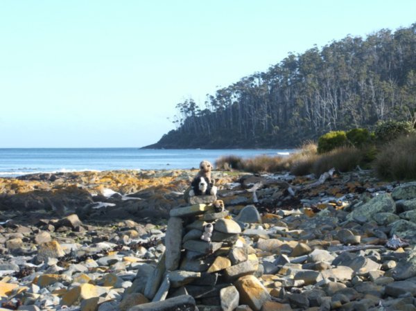 Fishers Point