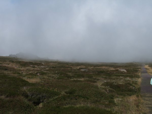 Mt Kosciuszko walk