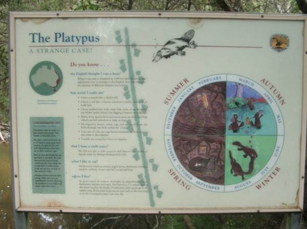 Clever sign about platypus