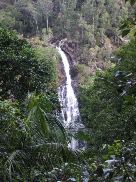 Kondalilla Falls
