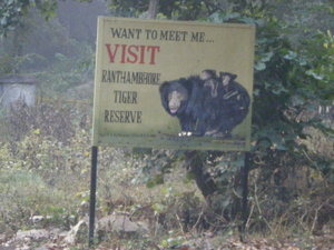 Welcome to Ranthambore