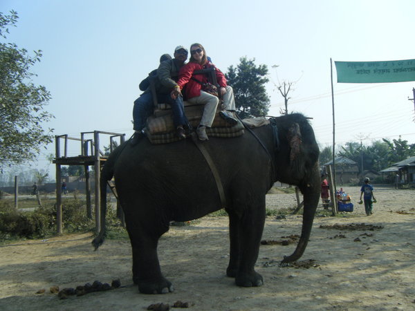 Our elephant