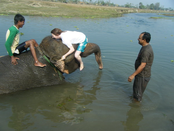 How NOT to get on an elephant!