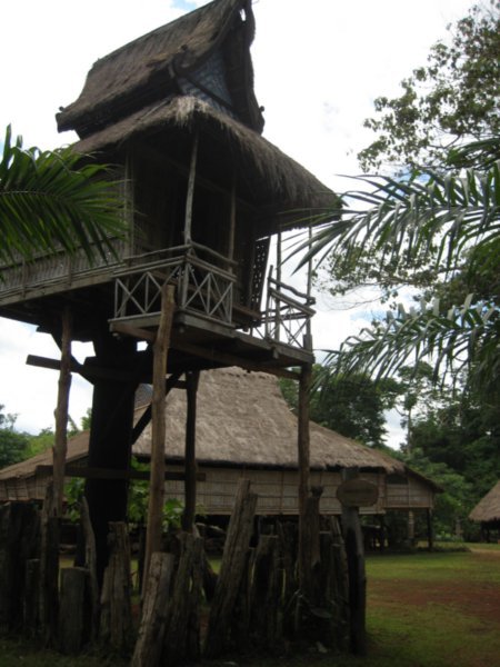 the village tree house