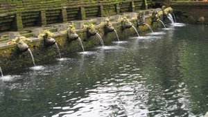 The Holy springs of Tirta Empul