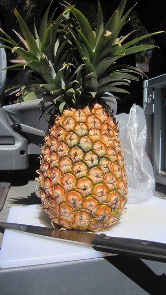 Freaky double headed pineapple