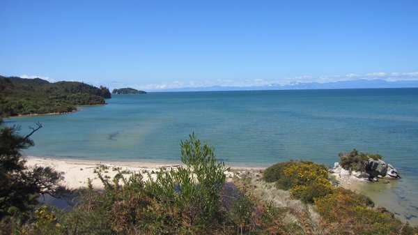 One of Abel Tasmans gorgeous bays