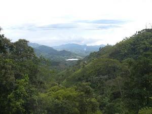 Road from Pereira to Manizales