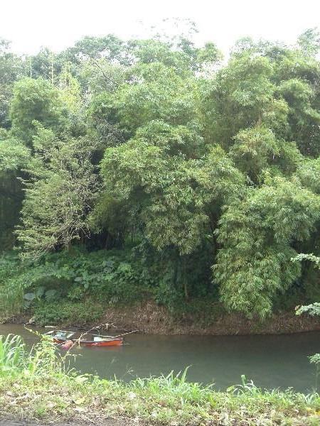 River Zapote near Upala Costa Rica