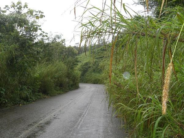 Road from Chiapa de Corzo to Copainala