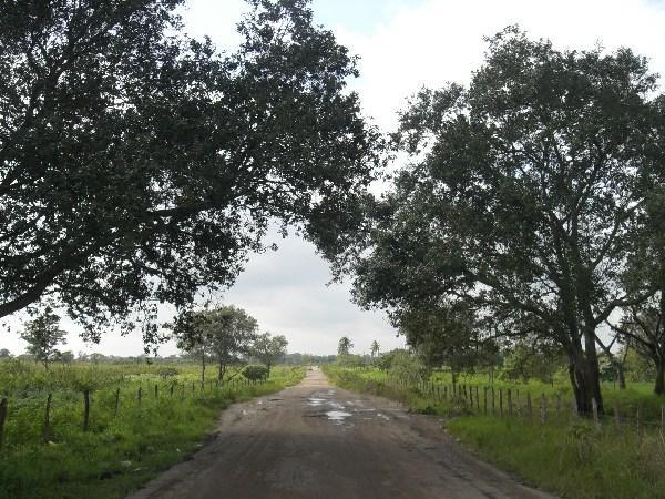 Road from Chontalpa to Las Choapas