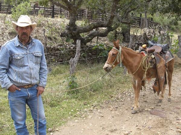 Mexican cowboy and horse