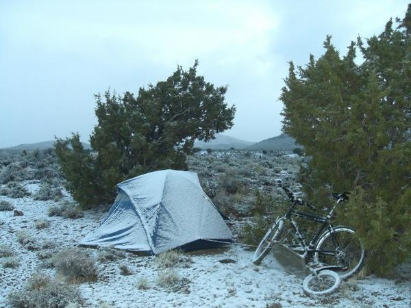 Nevada in May
