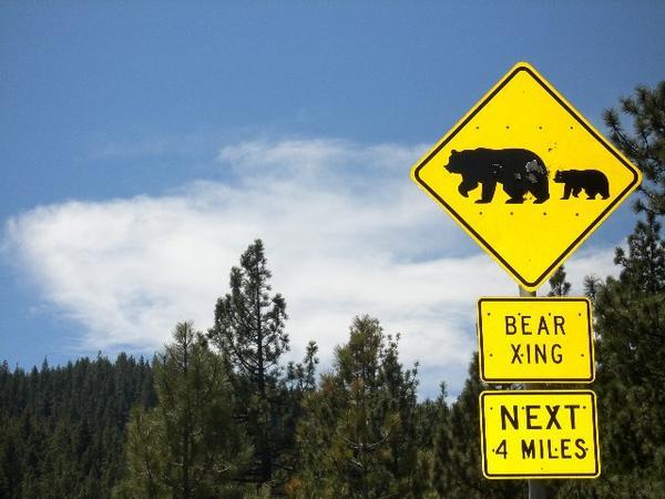 Bears Crossing, Lake Tahoe, Nevada