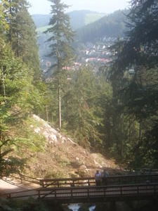 Black Forest Hike