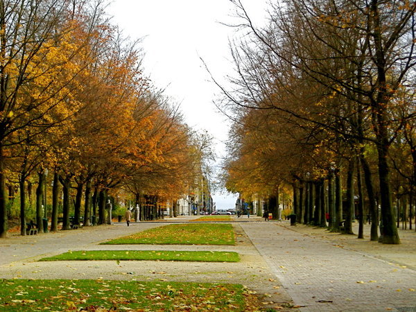 Parc de Bruxelles, extends from Parliament to the Royal Palace