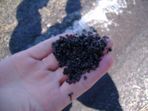 Black sand from Lake Lewis in Yellowstone