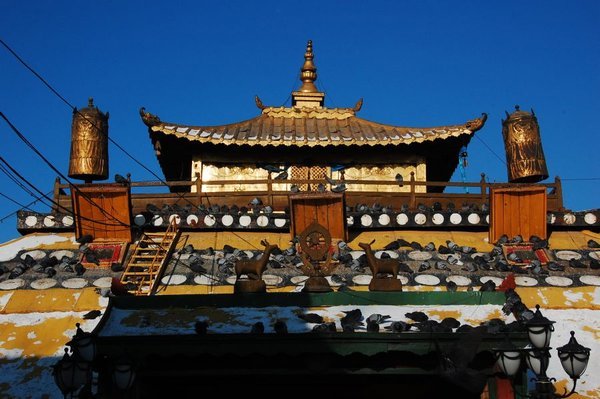 Un temple du Gandan Khiid