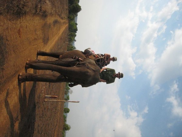 On a, tour a tour, la chance de diriger notre bete - voici ici J-F, le mahout en herbe