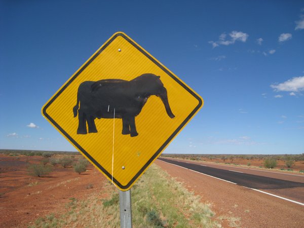 Des éléphants en Australie???
