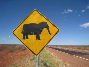Des éléphants en Australie???