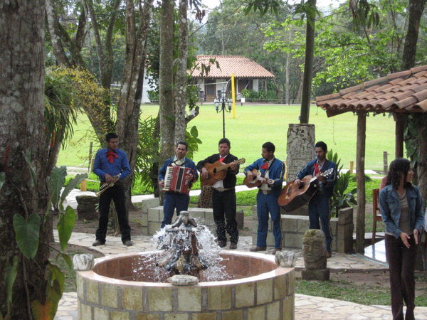 Mariachi at the Father's Day school event. 