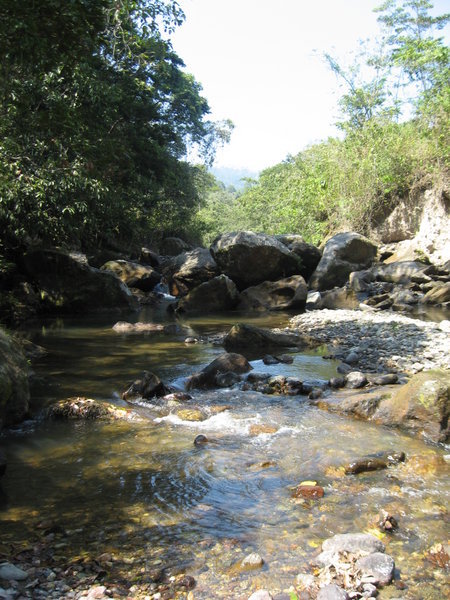 The stream where the teachers swam