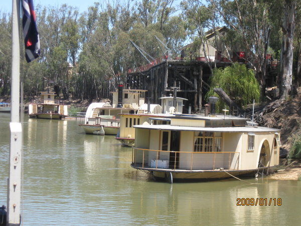Paddlesteamers at Echuca