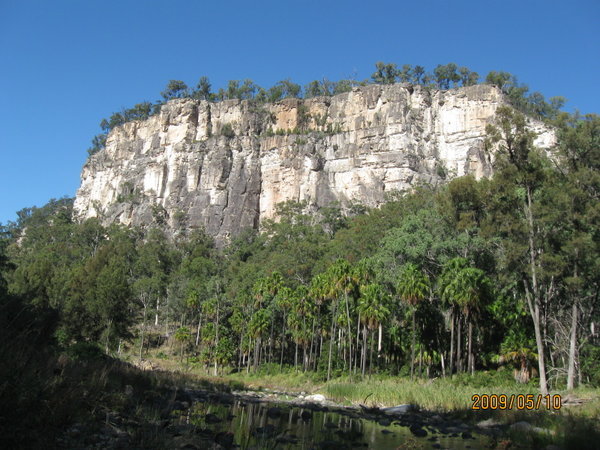 Carnarvon Gorge sandstone cliffs