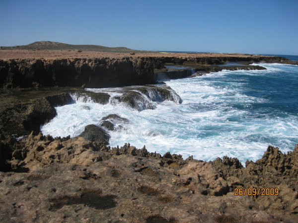 looking south from blowhole
