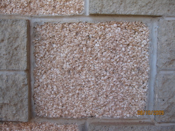 Homestead construction shell bricks