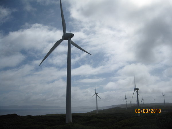 from lookout for windfarm