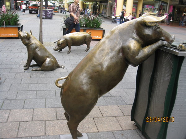 Rundle Mall pigs, Adelaide
