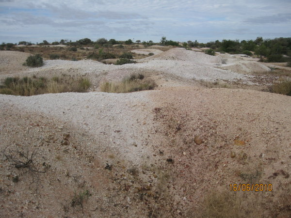 opal field fossicking area