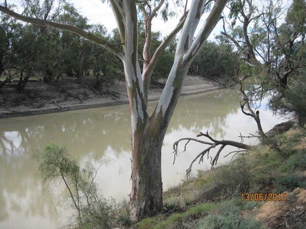 Darling River at  Menindee