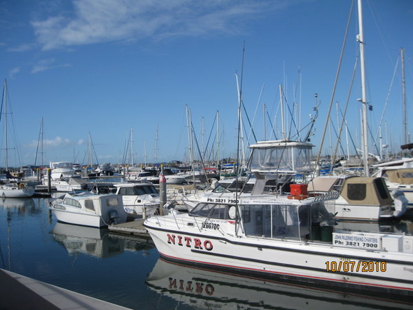 Manly boat harbour