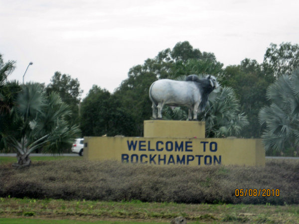 Rockhampton has lots of bull!