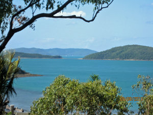lookout above Shute harbour