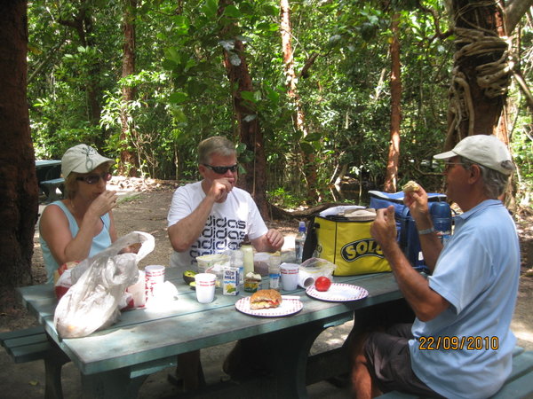 Cape Tribulation lunch spot.