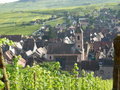 Out and about in Alsace