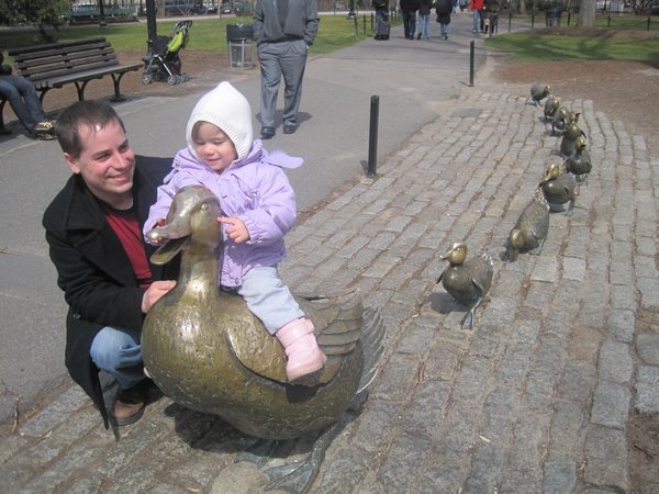 Riding the ducks at the Boston Commons