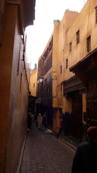 Wandering the Alleyways of Fes