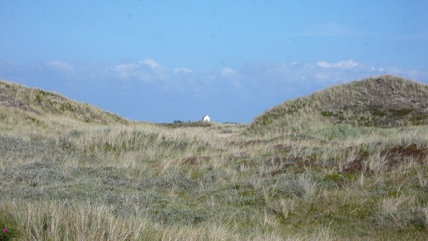 Rolling Dunes in Jutland