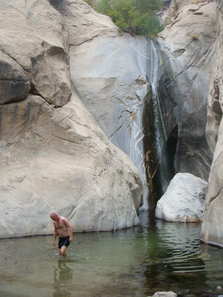 Gra swimming at Indian Canyon