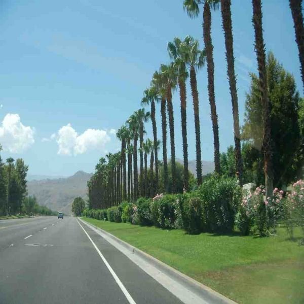 leaving Palm Springs 