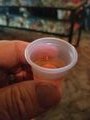 Tiny Tasting Cup