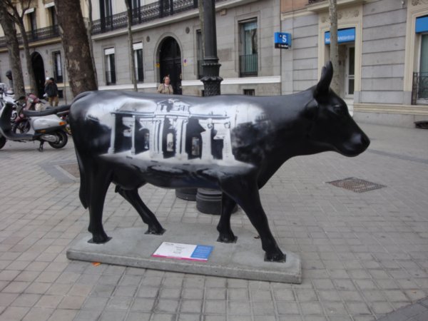 Cow in Madrid