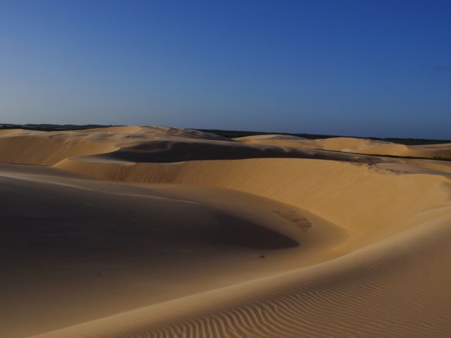 More Dunes