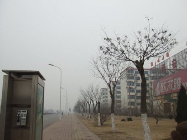 Wuqing Street scene